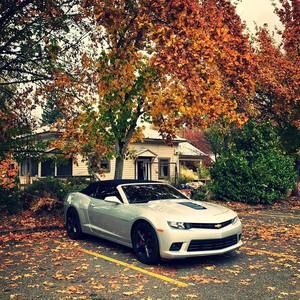 Meet your Posher, Edgar